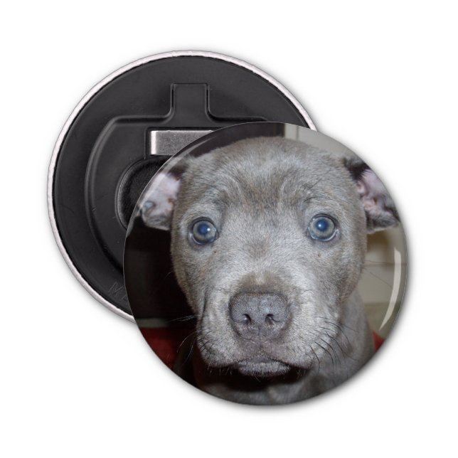 Blue Staffy Puppy Ansikte, Magnetic Flaska-öppnare Flasköppnare (Framsidan)