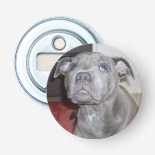 Blue Staffy Puppy Kärlek Ögon, Flaska-öppnare. Flasköppnare
