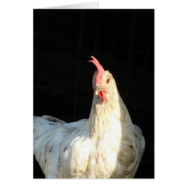 Blue Stänk Hen Hälsningskort (Framsidan)