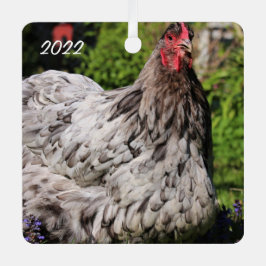 Blue Stänk Orpington Hen - Pet Chicken Julgransdekoration