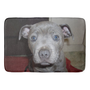 Blue Stbudsdshire Bull Terrier Puppy, Bathmat Badrumsmatta