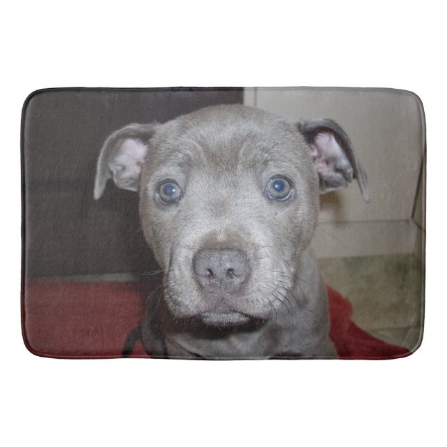 Blue Stbudsdshire Bull Terrier Puppy, Bathmat Badrumsmatta (Framsidan)