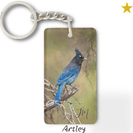Blue Stellars Jay Bird Painting Anpassningsbar Ini