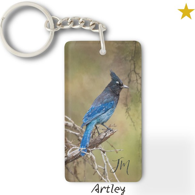 Blue Stellars Jay Bird Painting Anpassningsbar Ini (Skapare uppladdad)