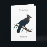 Blue Steller's Jay Birthday för min son Kort<br><div class="desc">Ett jajfödelsedagskort för en personlig som du kan lägga till födelsedagskalenderns namn på framsidan och redigera insidan av kortmeddelandet. Det här stellars jayfågelfödelsedagskortet skulle göra honom till en underbar keepy.</div>