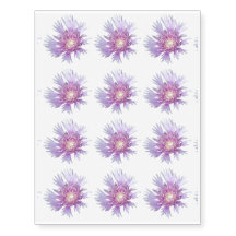 Blue Stokes Aster Flower Blommar