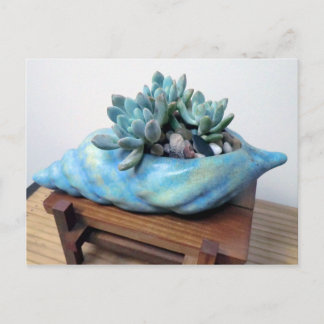 Blue Succulent in Seashell by Succulent Design Vykort