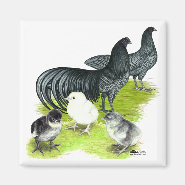 Blue Sumatra Family Magnet (Framsidan)