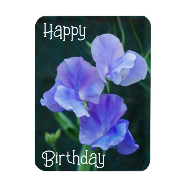 Blue Sweet Pea Flowers Birthday Magnet (Vertikal)