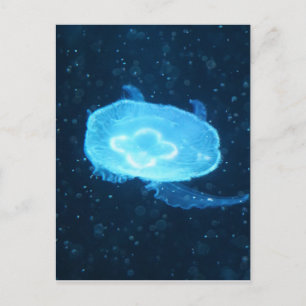 Blue Swimming Jellyfish Vykort