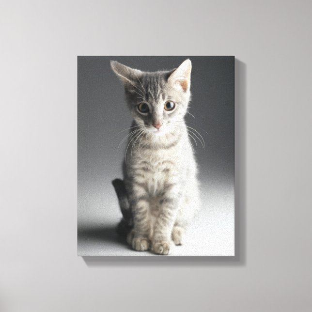 Blue Tabby Kitten Canvastryck (Framsida)