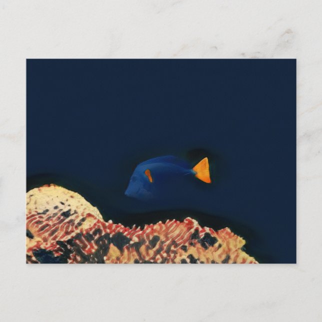 Blue Tang Fish Vykort (Framsida)