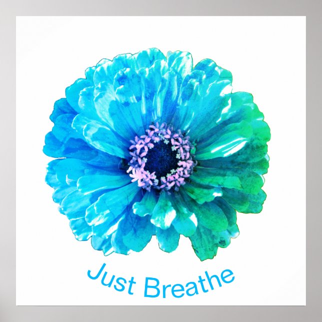 Blue Teal Daisy | Återblått blommigt Poster (Framsidan)