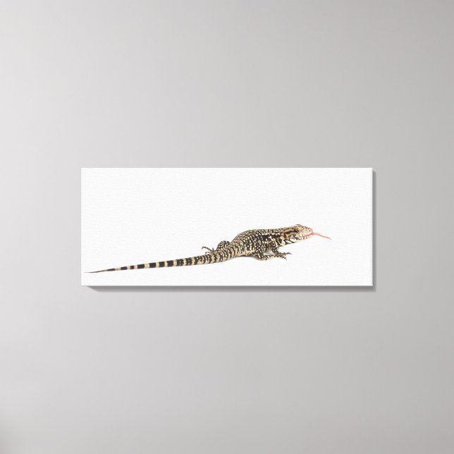 Blue tegu - Tupinambis merianae Canvastryck (Framsida)