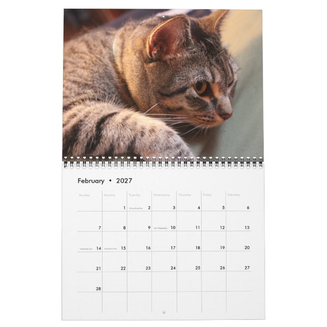 Blue the Cat - Calendar 2021 Kalender (Feb 2027)
