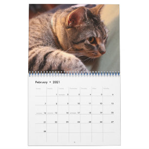 Blue the Cat - Calendar 2021 Kalender