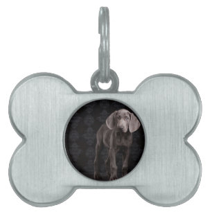 Blue the Weimaraner Puppy Namnbricka Husdjur