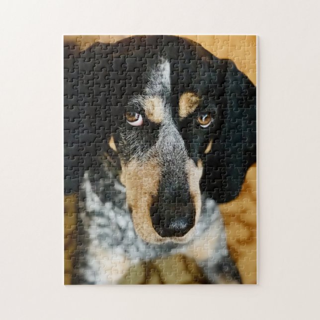 Blue Tick Coonhound Jigszle Puzzle Pussel (Vertikal)
