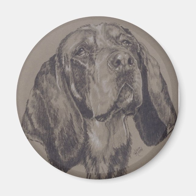 Blue Tick Coonhound Magnet (Framsidan)