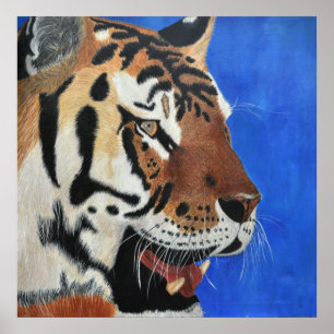 Blue Tiger Poster