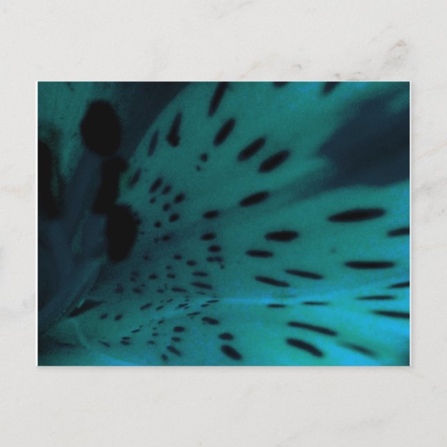 Blue Tiger Vykort (Framsida)