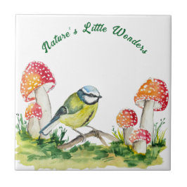 Blue Tit and Fly Agaric in a Forest Clearing Kakelplatta