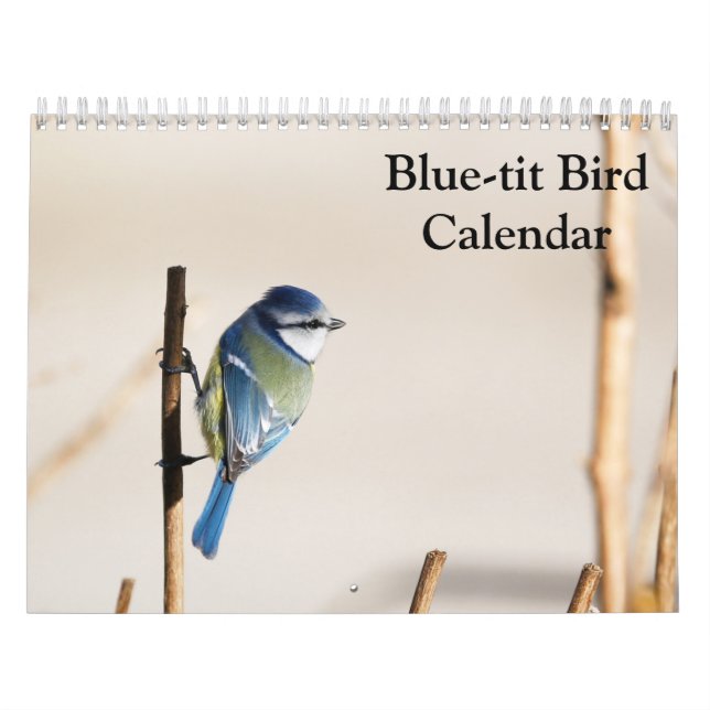 Blue-Tit Bird 2025-kalender Kalender (Omslag)