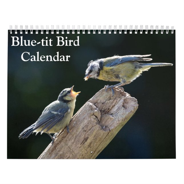 Blue-Tit Bird 2026-kalender Kalender (Omslag)
