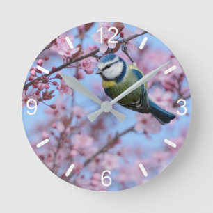 Blue Tit Bird i Rosa Japanska Cherry-Blommar Rund Klocka