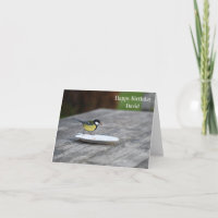 Blue Tit Bird Matande Grattis på födelsedagen