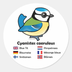 Blue Tit Internationell Runt Klistermärke