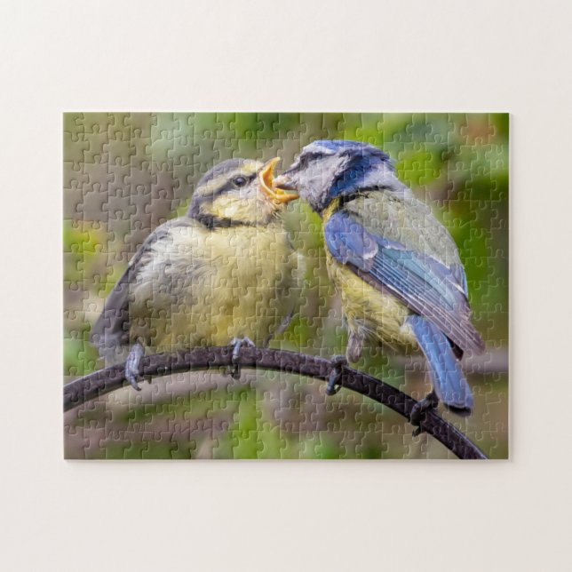 Blue Tit Matande Fledgling Jigszle Puzzle Pussel (Horisontell)