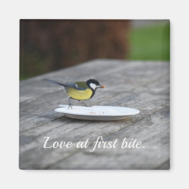 Blue Tit Matande på kummel Plate Kärlek vid första Magnet (Framsidan)