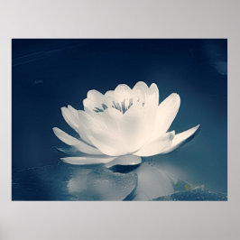 Blue Toned Lotus Flower Poster