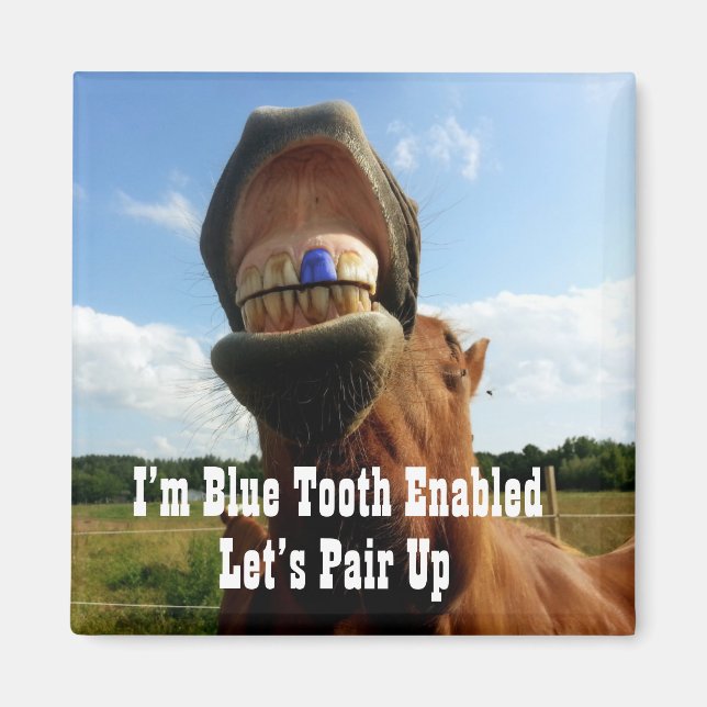 Blue Tooth Enabled Horse Magnet (Framsidan)