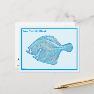Blue Turbot Vykort