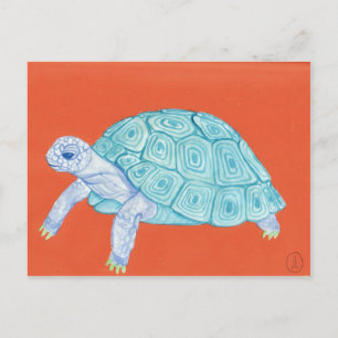 Blue Turtle Vykort