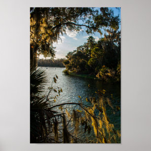 Blue Vår State Park, Florida Poster