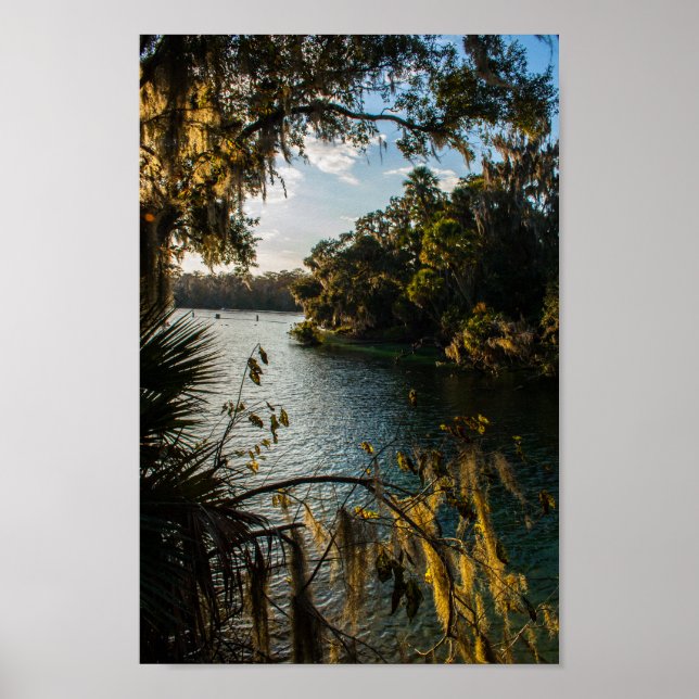 Blue Vår State Park, Florida Poster (Framsidan)