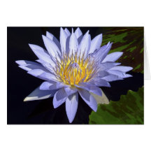 Blue Vatten Lily Card