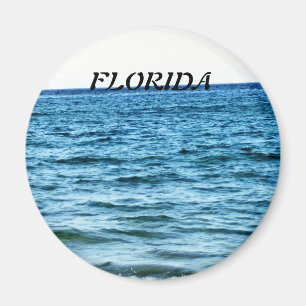 BLUE VATTEN MAGNET