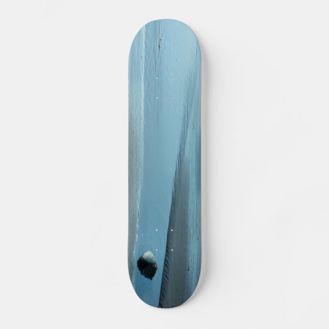 BLUE VATTEN OLD SCHOOL SKATEBOARD BRÄDA 21,6 CM (Framsida)