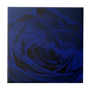Blue Velvet ro.jpg Kakelplatta