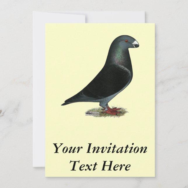 Blue Velvet Show Racer Inbjudningar (Framsida)