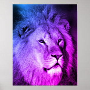 Blue Violet Lejon - Djurfoto Art Poster