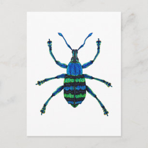 Blue Weonde Vykort