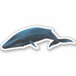 BLUE WHALE KLISTERMÄRKEN