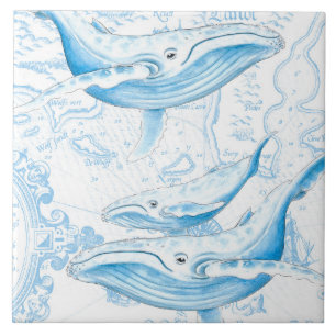 Blue Whales Family White Kakelplatta
