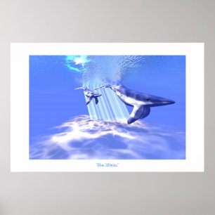 BLUE WHALES SKRIV UT POSTER