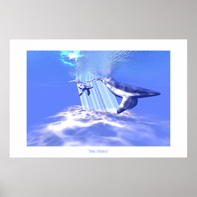 BLUE WHALES SKRIV UT POSTER (Framsidan)